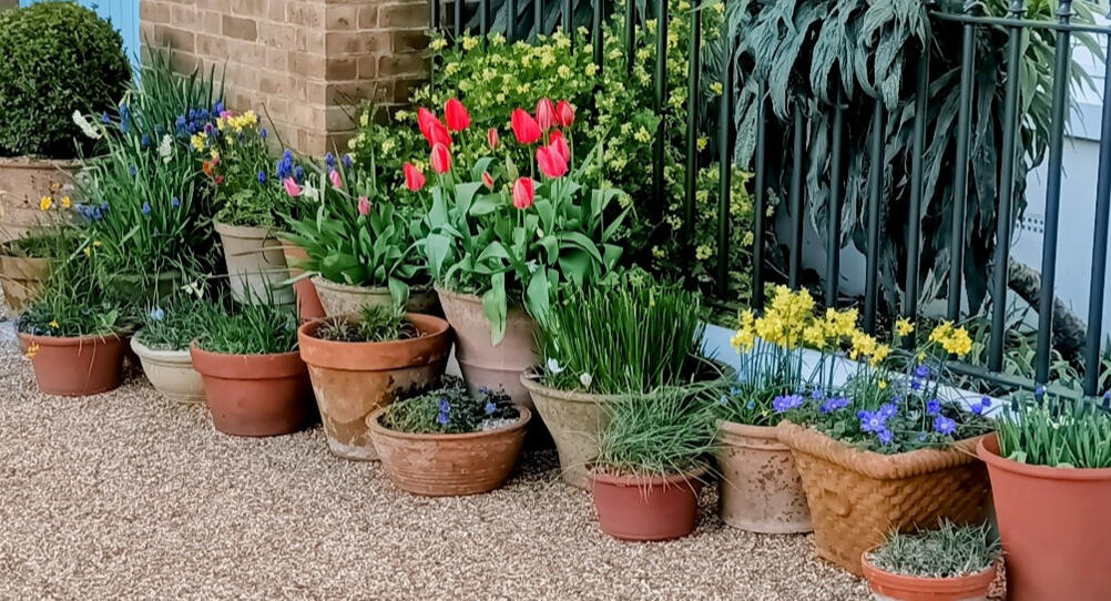 Tim Miles, Gardener